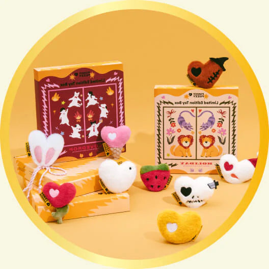 Coffret Jouet Édition Limitée