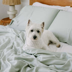 Parure de draps en satin de luxe confortable 100 % bambou avec housse de couette