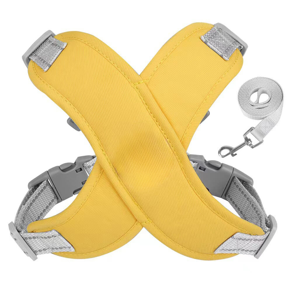 Harnais pour chien avec laisse respirant et sécurisé-Exclusif app