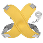 Harnais pour chien avec laisse respirant et sécurisé-Exclusif app