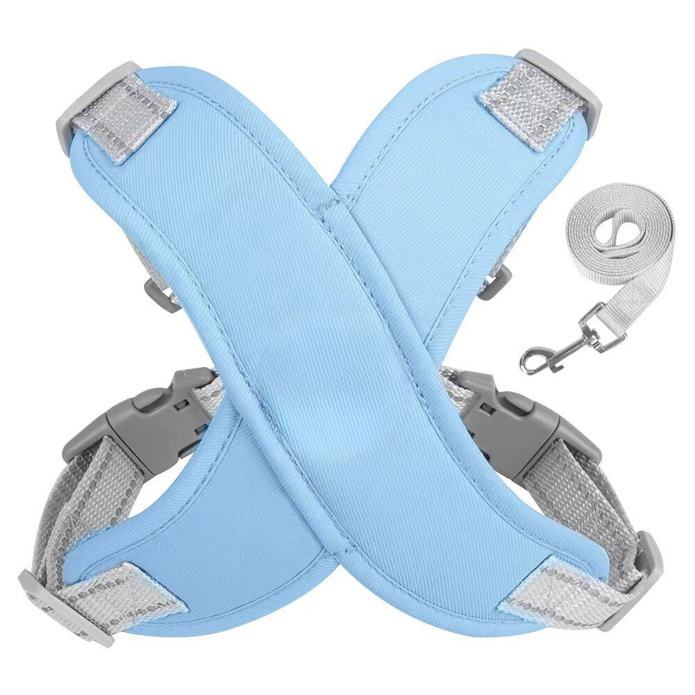 Harnais pour chien avec laisse respirant et sécurisé-Exclusif app