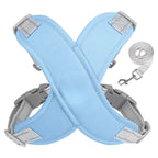 Harnais pour chien avec laisse respirant et sécurisé-Exclusif app