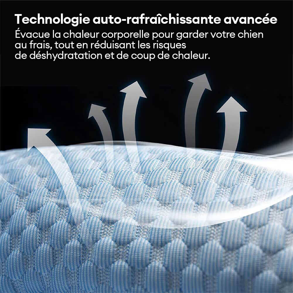 Coussin de sécurité pour chien grande taille Chill Rover pour voyage frais en voiture