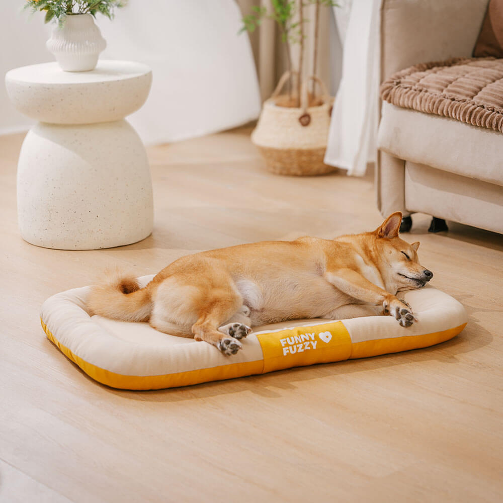 Tapis orthopédique imperméable et résistant aux rayures pour chien motif coloris block - Trek Lounge