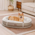 Lit pour chien orthopédique en forme de donut rembourré en similicuir deluxe amovible - WarmNest