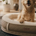Lit pour chien orthopédique en forme de donut rembourré en similicuir deluxe amovible - WarmNest