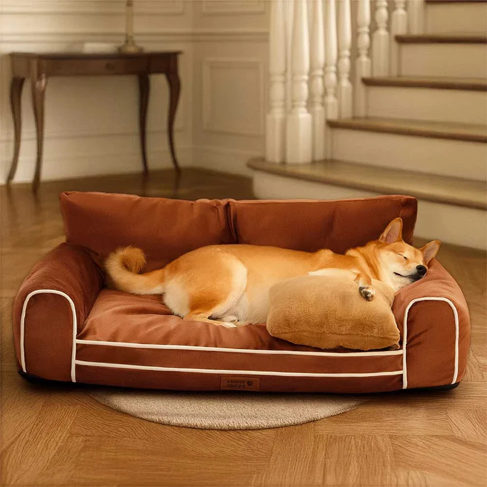 Lit chien orthopédique velours de soie deluxe coussin amovible - RegalRest