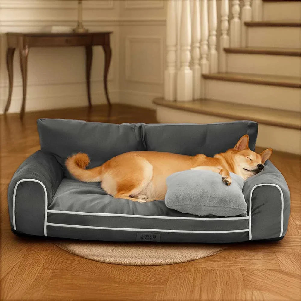 Lit chien orthopédique velours de soie deluxe coussin amovible - RegalRest