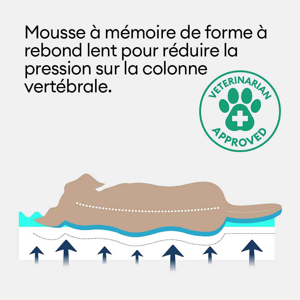 Tapis orthopédique imperméable et résistant aux rayures pour chien motif coloris block - Trek Lounge