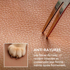 Housse de siège de voiture imperméable et antidérapante pour grands chiens - Urban Voyager