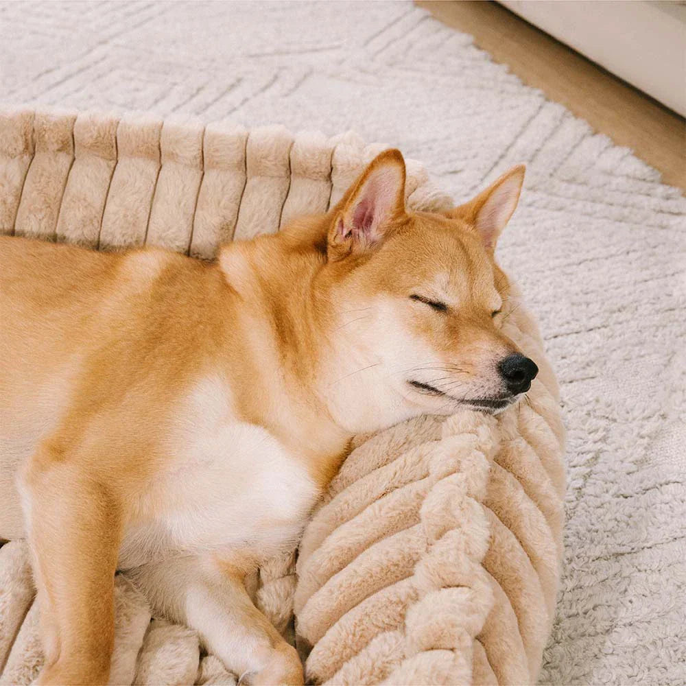 Couchage pour chien en mousse orthopédique avec coussin en coin amovible et chaleur douce - CozySlope