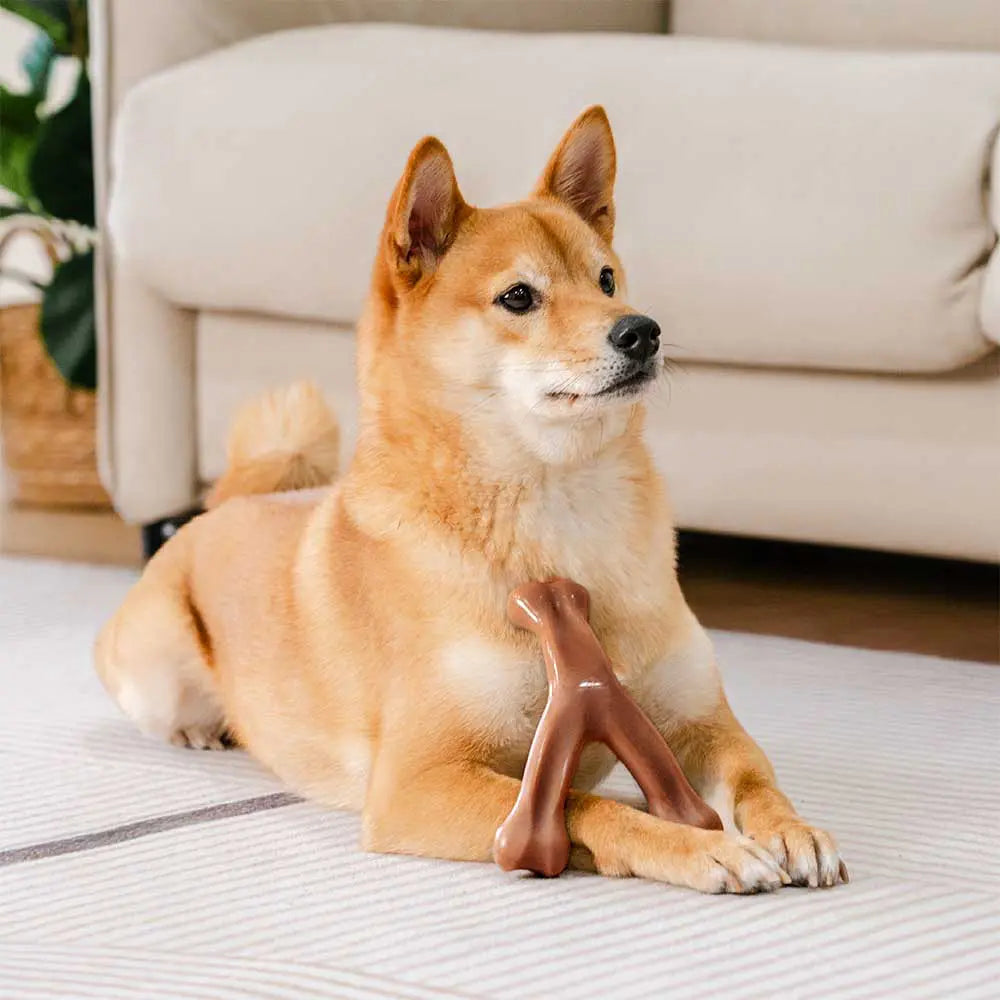 Os à mâcher pour chiot - Saveur bacon