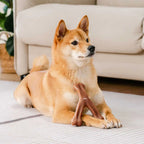 Os à mâcher pour chiot - Saveur bacon