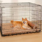 Tapis pour chien réversible en simili cuir avec plaid chaud éponge amovible et oreiller