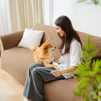 Protège-meubles imperméable et antidérapant : Housse de canapé pour animaux – Slipsafe