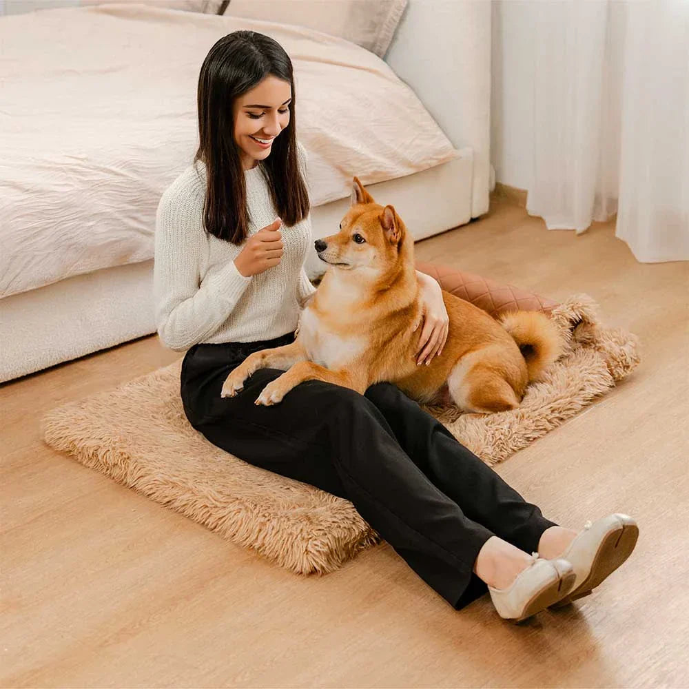 Tapis pour chien réversible en simili cuir avec plaid chaud éponge amovible et oreiller