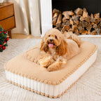Lit orthopédique pour chien inspiré des biscuits en peluche confortable avec coussin – SweetNap