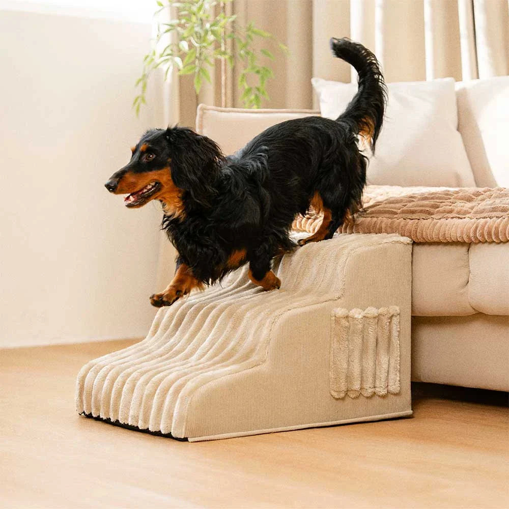 Escalier et lit pour animaux détachables en peluche moelleuse 2 en 1 - CreamyRamp