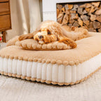 Lit orthopédique pour chien inspiré des biscuits en peluche confortable avec coussin – SweetNap