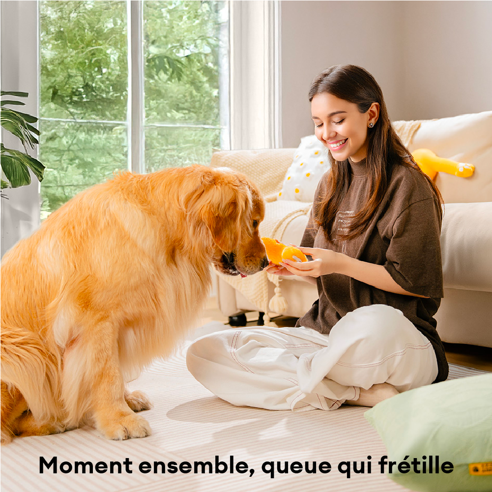 Coffret de jouets en édition limitée FUNNYFUZZY