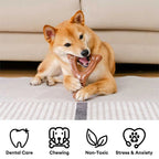 Os à mâcher pour chiot - Saveur bacon