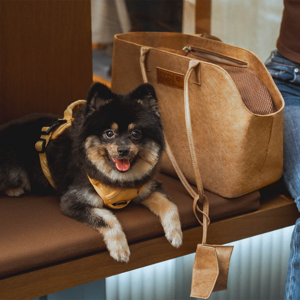 Transporteur pour animaux écologique en nylon Dupont imperméable - City Roamer