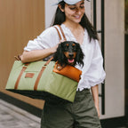 Siège auto console centrale pour animaux en similicuir avec fonction transporteur - Urban Voyager