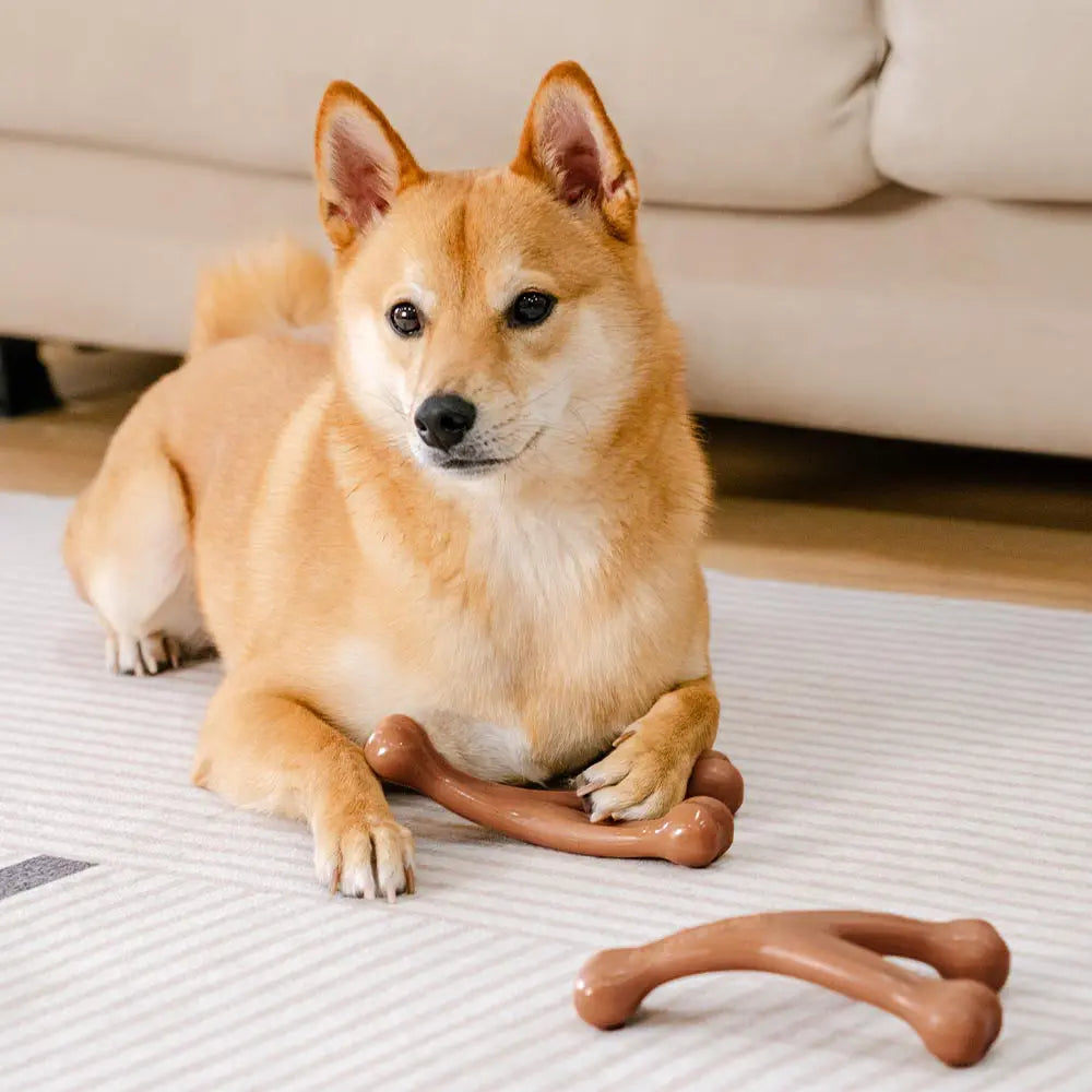 Os à mâcher pour chiot - Saveur bacon