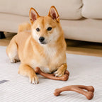 Os à mâcher pour chiot - Saveur bacon