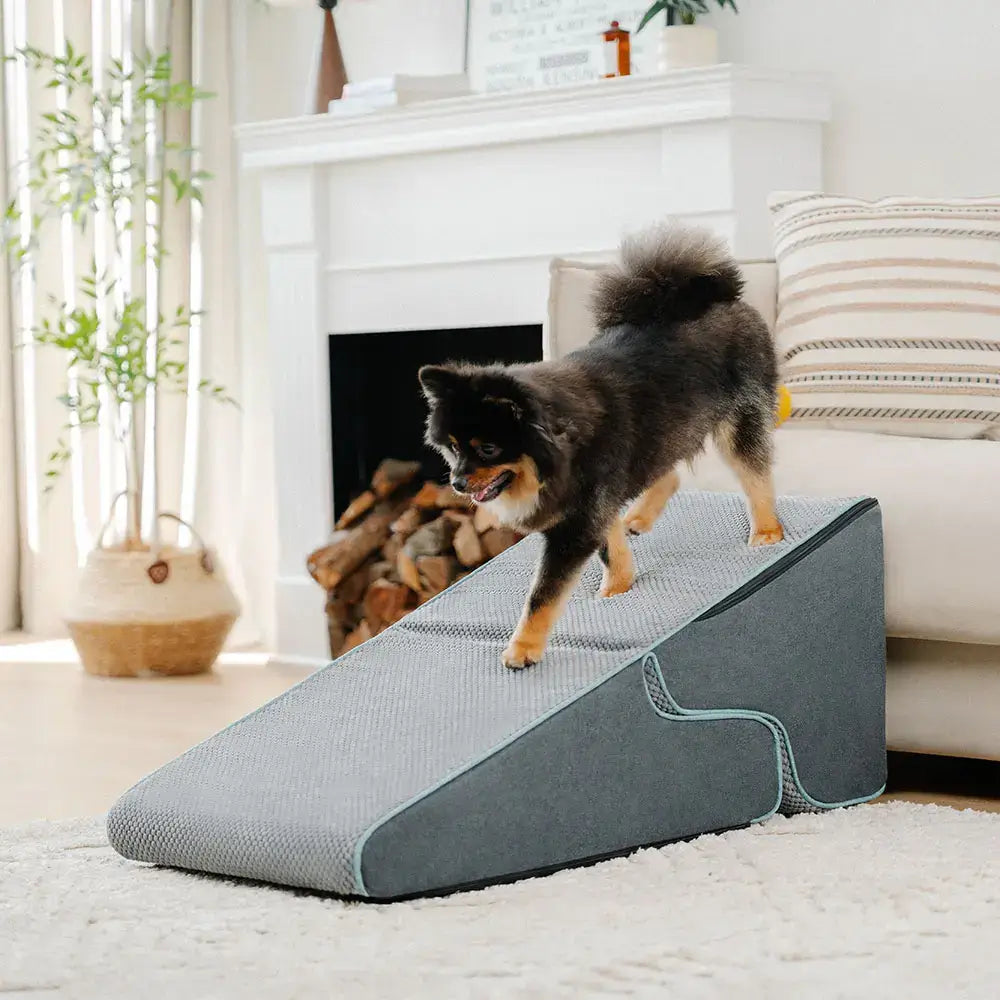 Escaliers pour chien pliables 2 en 1 multifonction avec fonction rampe