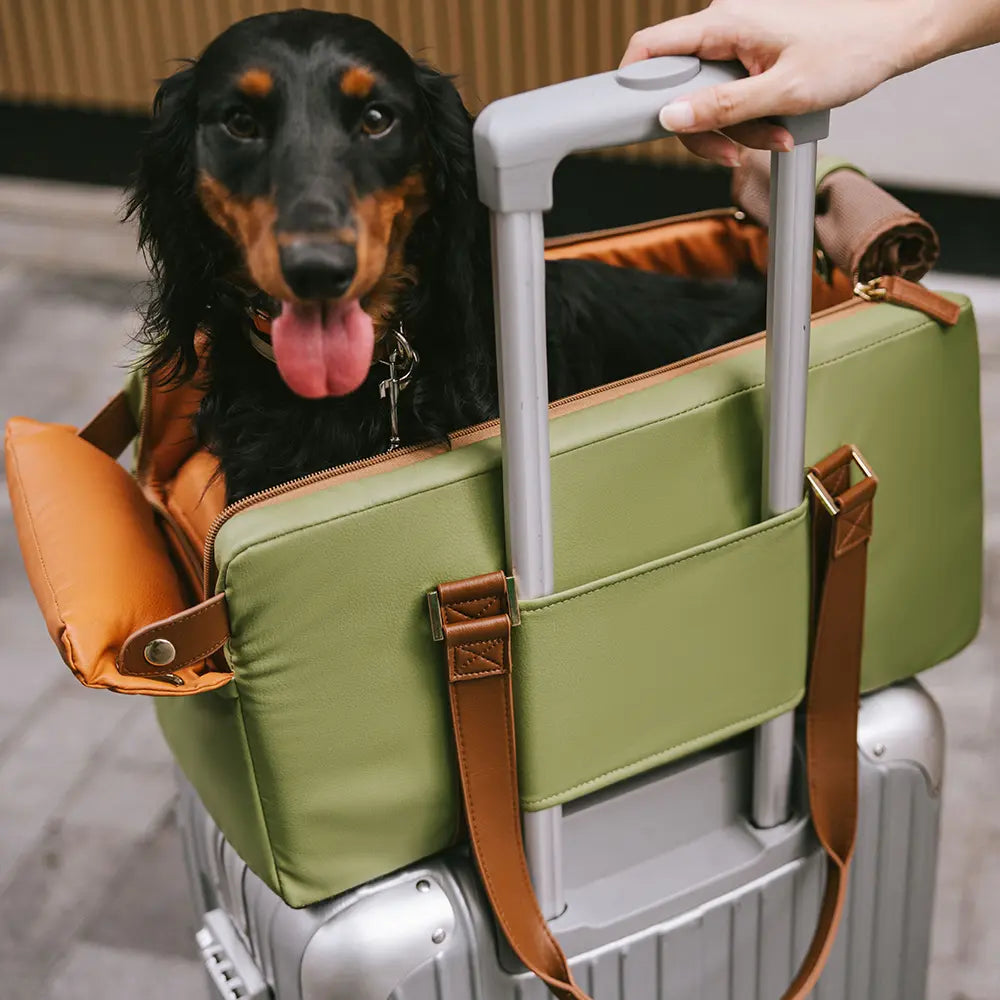 Siège auto console centrale pour animaux en similicuir avec fonction transporteur - Urban Voyager