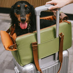 Siège auto console centrale pour animaux en similicuir avec fonction transporteur - Urban Voyager