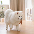 Os à mâcher pour chiot - Saveur bacon