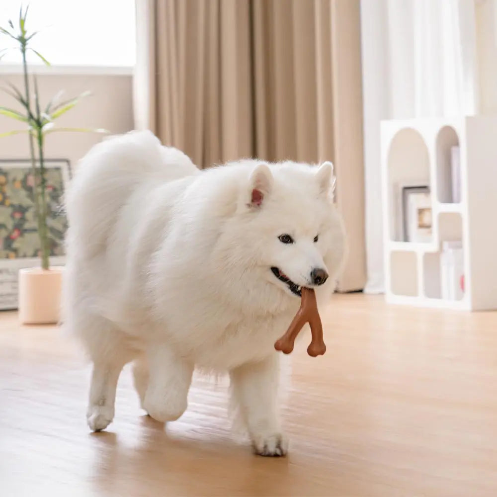 Os à mâcher pour chiot - Saveur bacon