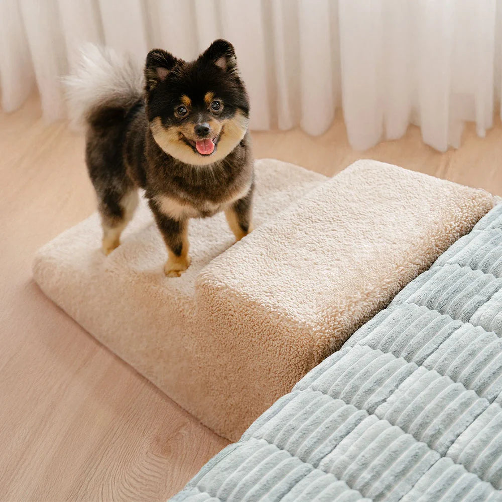 Rampe d'accès douce pour chien escalier pour lit et canapé protection des articulations
