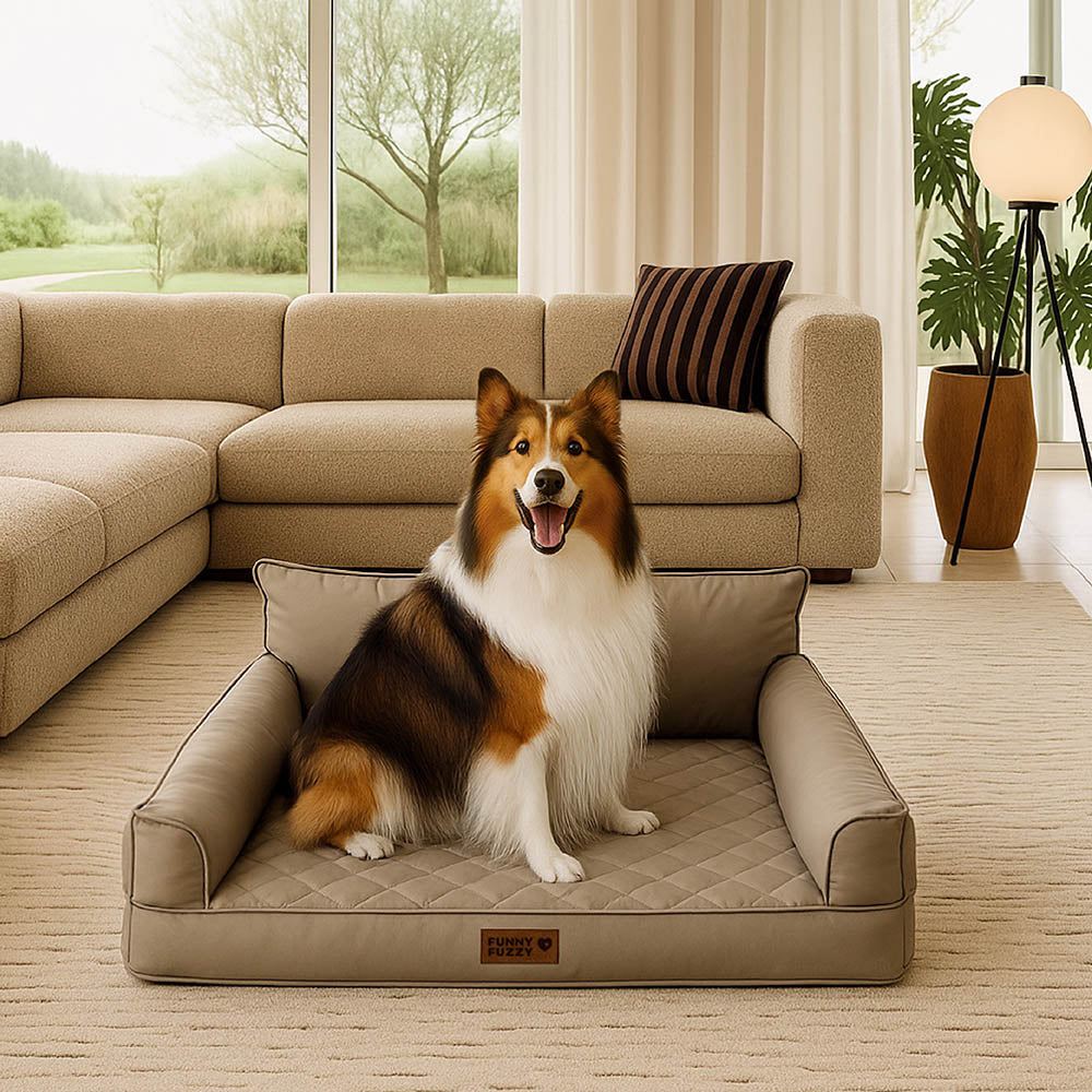 Luxe lit pour chien grand en simili cuir pliable orthopédique - CoreLounge