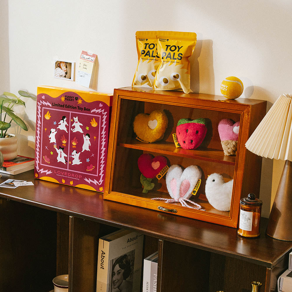 Coffret de jouets en édition limitée FUNNYFUZZY