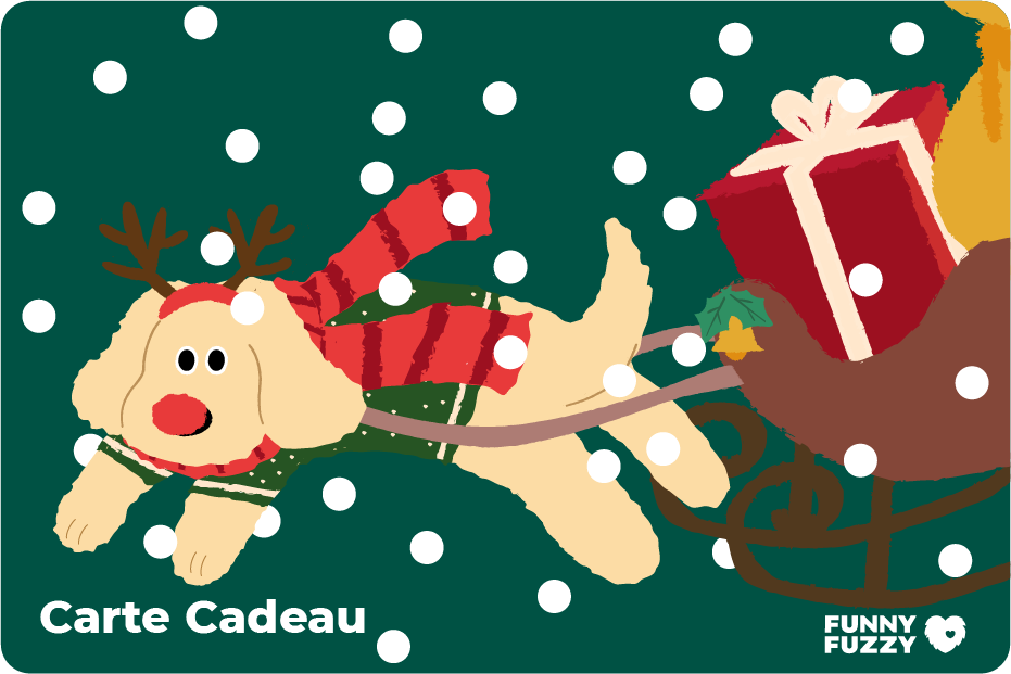FunnyFuzzy Carte Cadeau-Joyeux Noël 2023