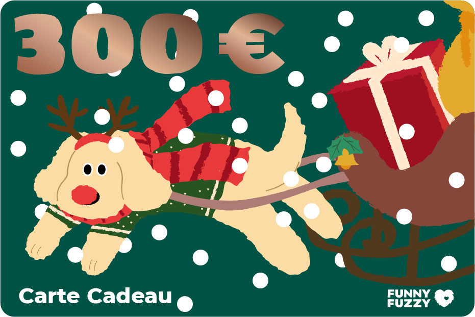 FunnyFuzzy Carte Cadeau-Joyeux Noël 2023