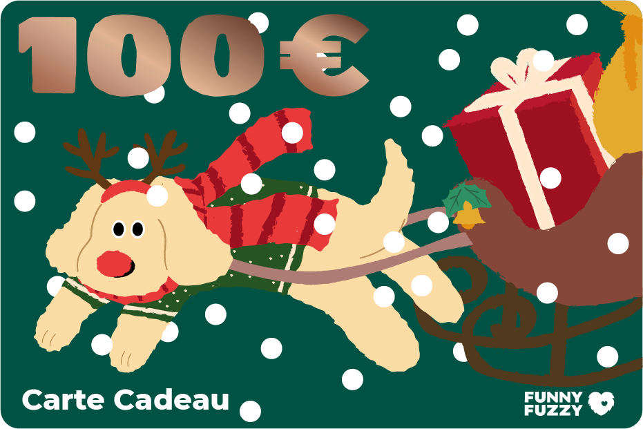 FunnyFuzzy Carte Cadeau-Joyeux Noël 2023