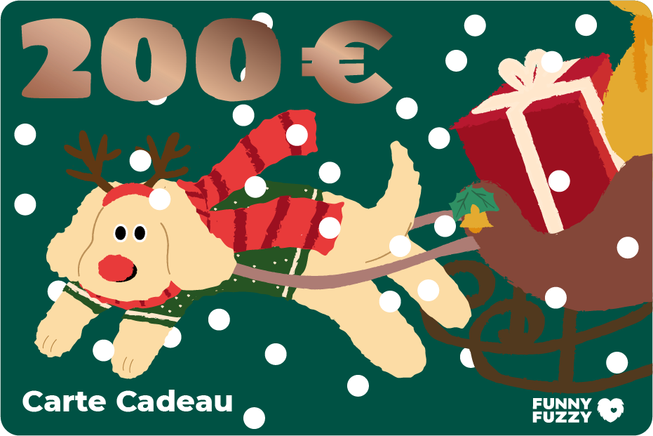 FunnyFuzzy Carte Cadeau-Joyeux Noël 2023