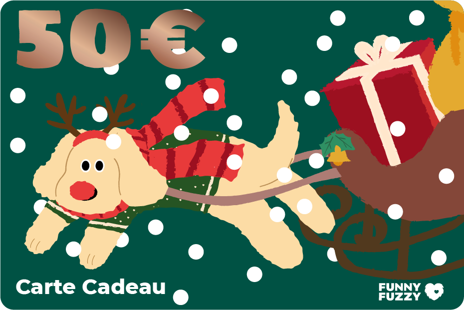 FunnyFuzzy Carte Cadeau-Joyeux Noël 2023