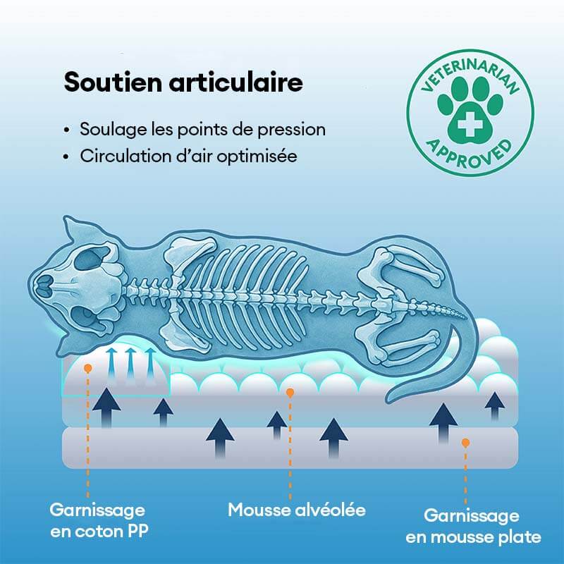 Grand lit orthopédique pour chien respirant antidérapant et à forte capacité de refroidissement