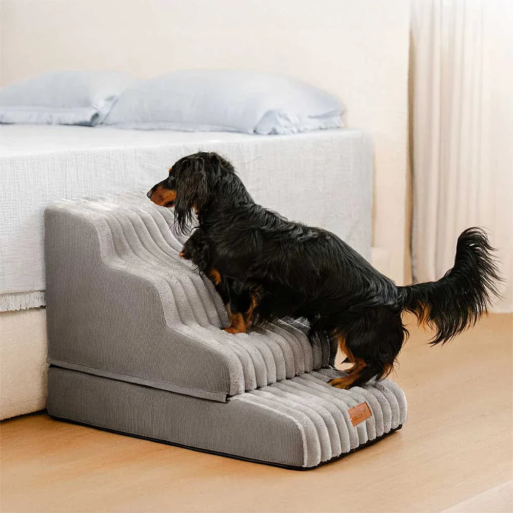 Escalier et lit pour animaux détachables en peluche moelleuse 2 en 1 - CreamyRamp