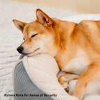 Lit chien donut velours côtelé ultra doux anti anxiété