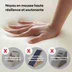 Rampe d'accès douce pour chien escalier pour lit et canapé protection des articulations