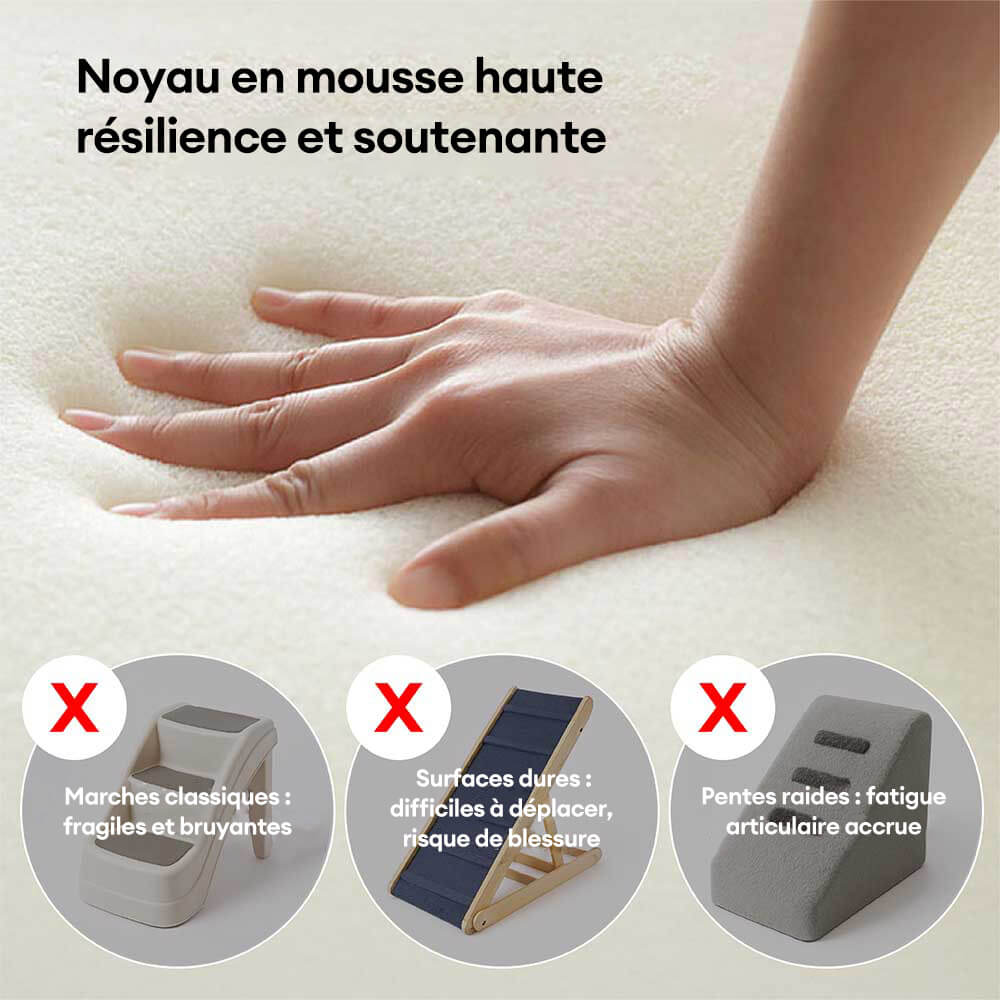 Rampe d'accès douce pour chien escalier pour lit et canapé protection des articulations