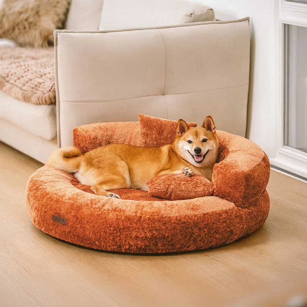 Lit orthopédique pour chien en velours diamant amovible en forme de donut avec coussin - DreamNest