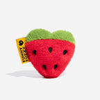 Jouet pour chien en peluche avec couineur FunnyFuzzy