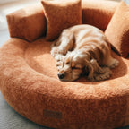 Lit orthopédique pour chien en velours diamant amovible en forme de donut avec coussin - DreamNest